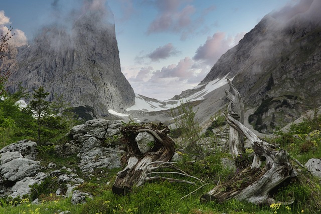 Ellmauer Kapısı