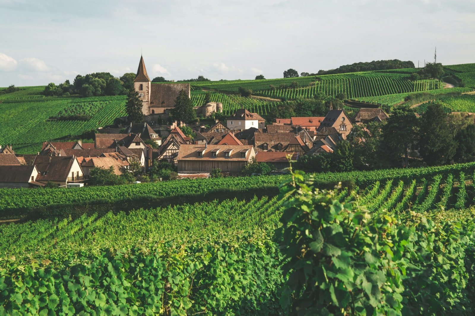 Colmar