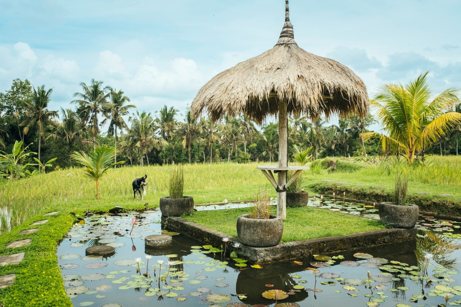 Bali