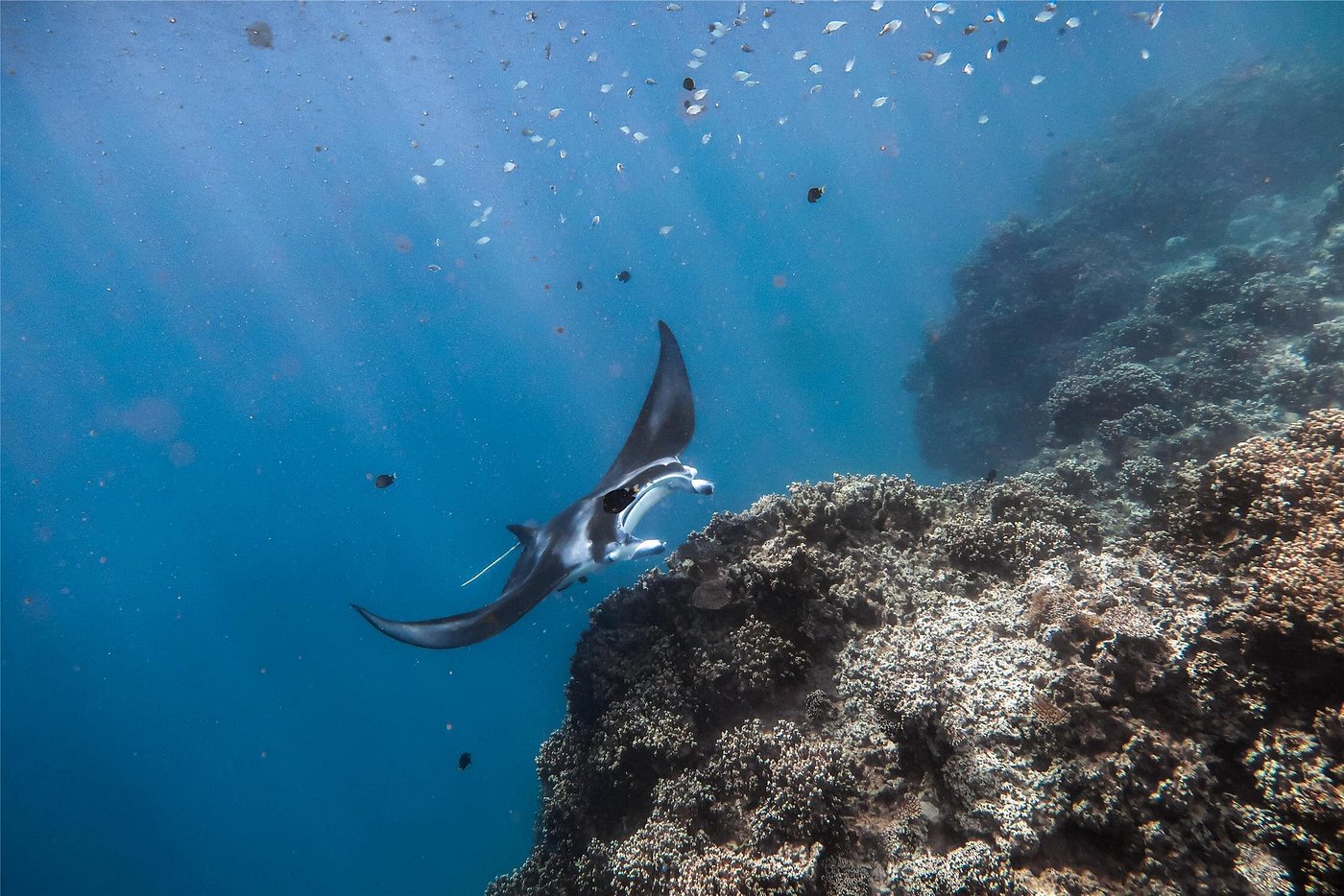 Conrad Bora Bora Nui