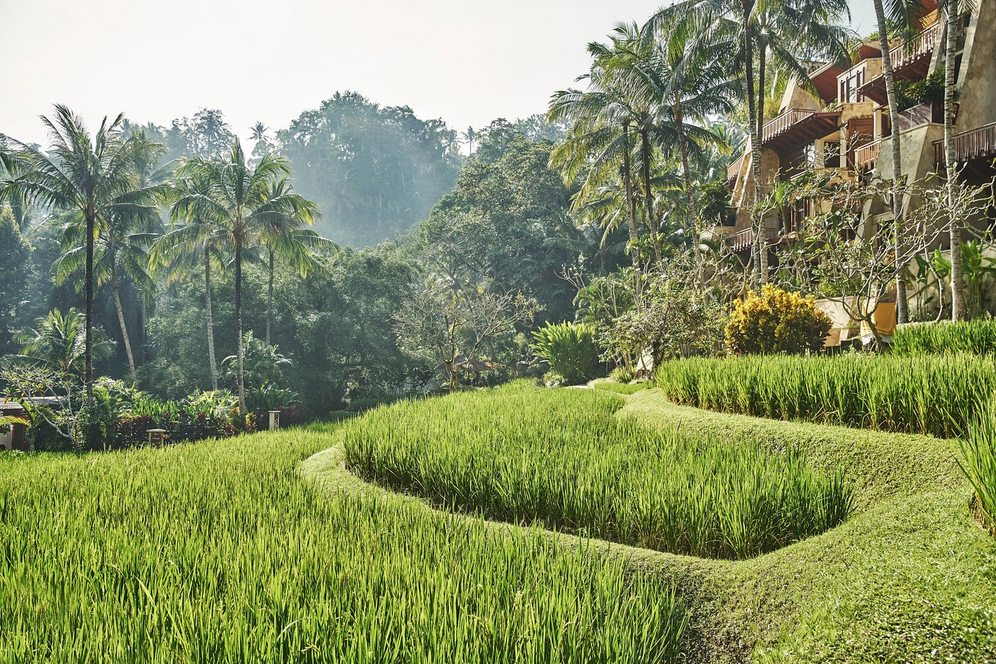 Four Seasons Resort Bali at Sayan Balayı Turu - fotoğraf 12