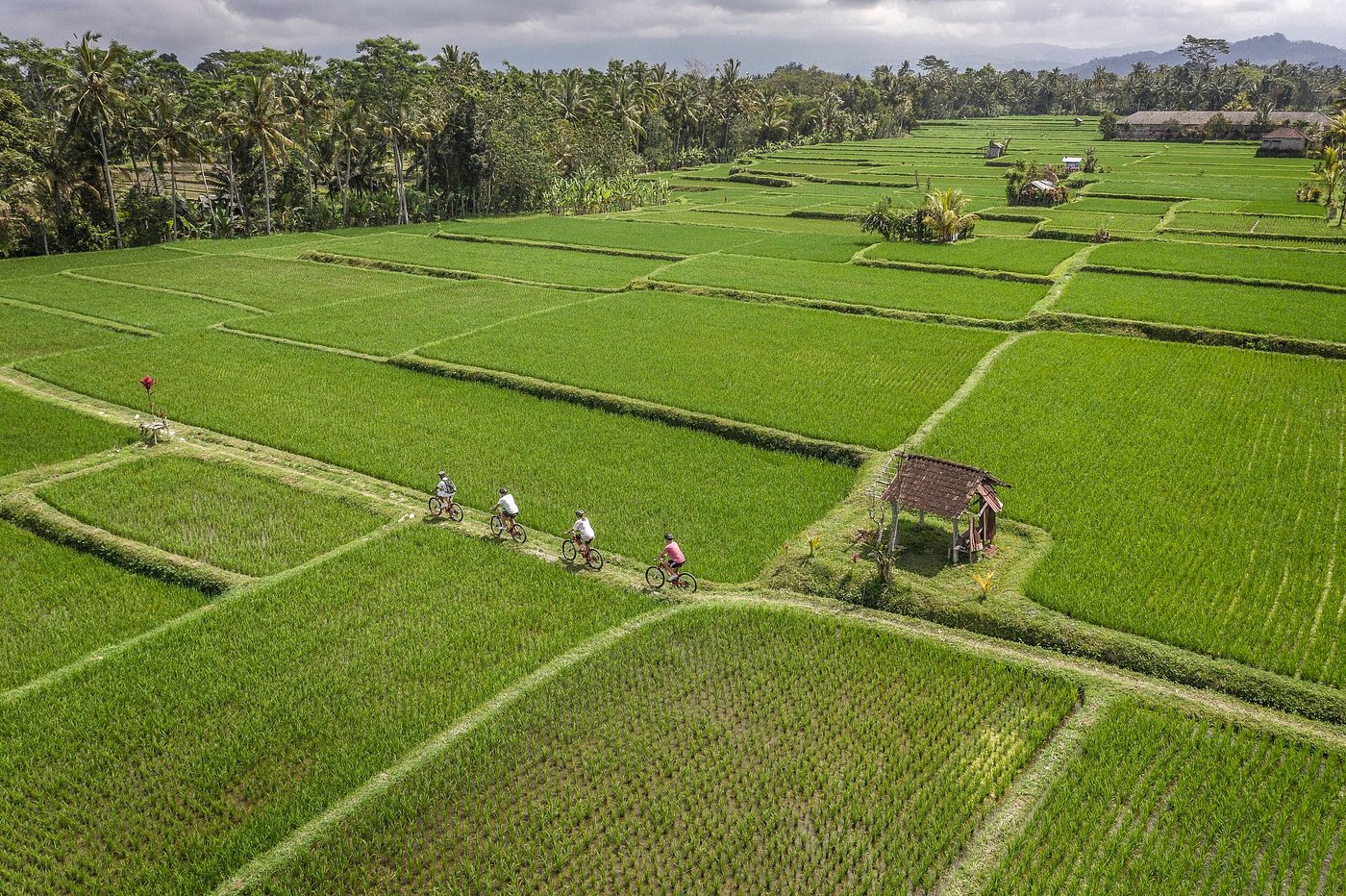 Four Seasons Resort Bali at Sayan Balayı Turu - fotoğraf 21