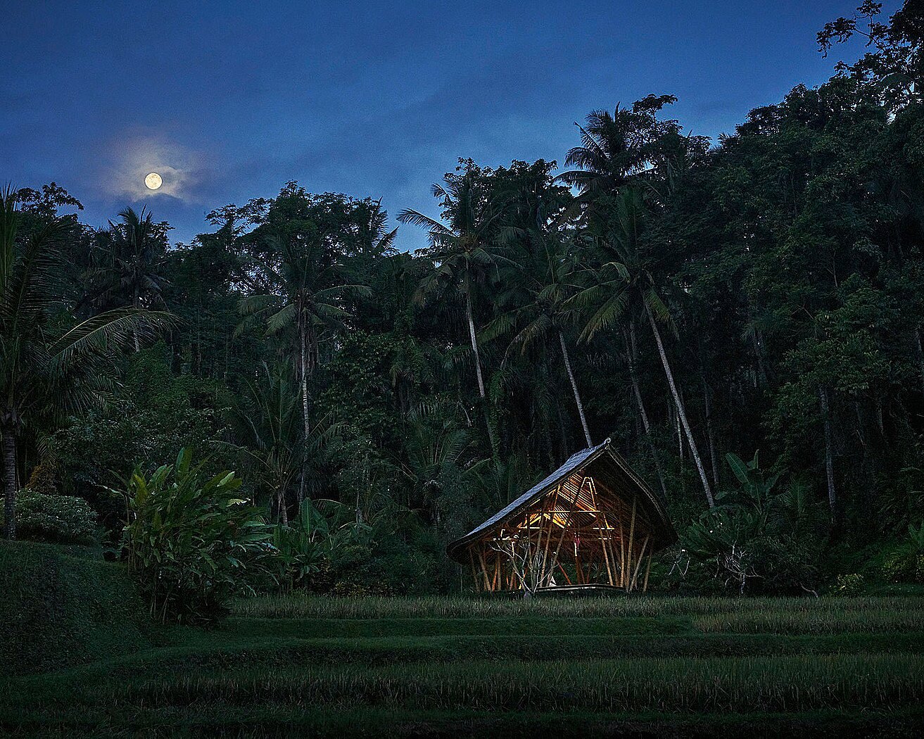 Four Seasons Resort Bali at Sayan Balayı Turu - fotoğraf 22