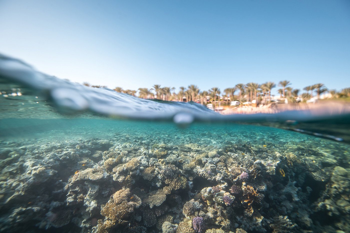 Four Seasons Resort Sharm El Sheikh Balayı Turu - fotoğraf 7