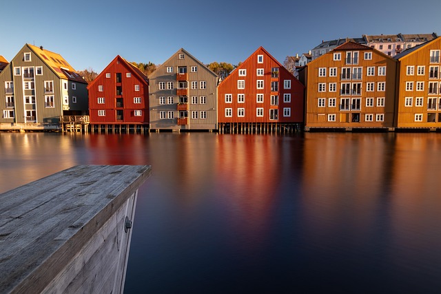 Fiyort