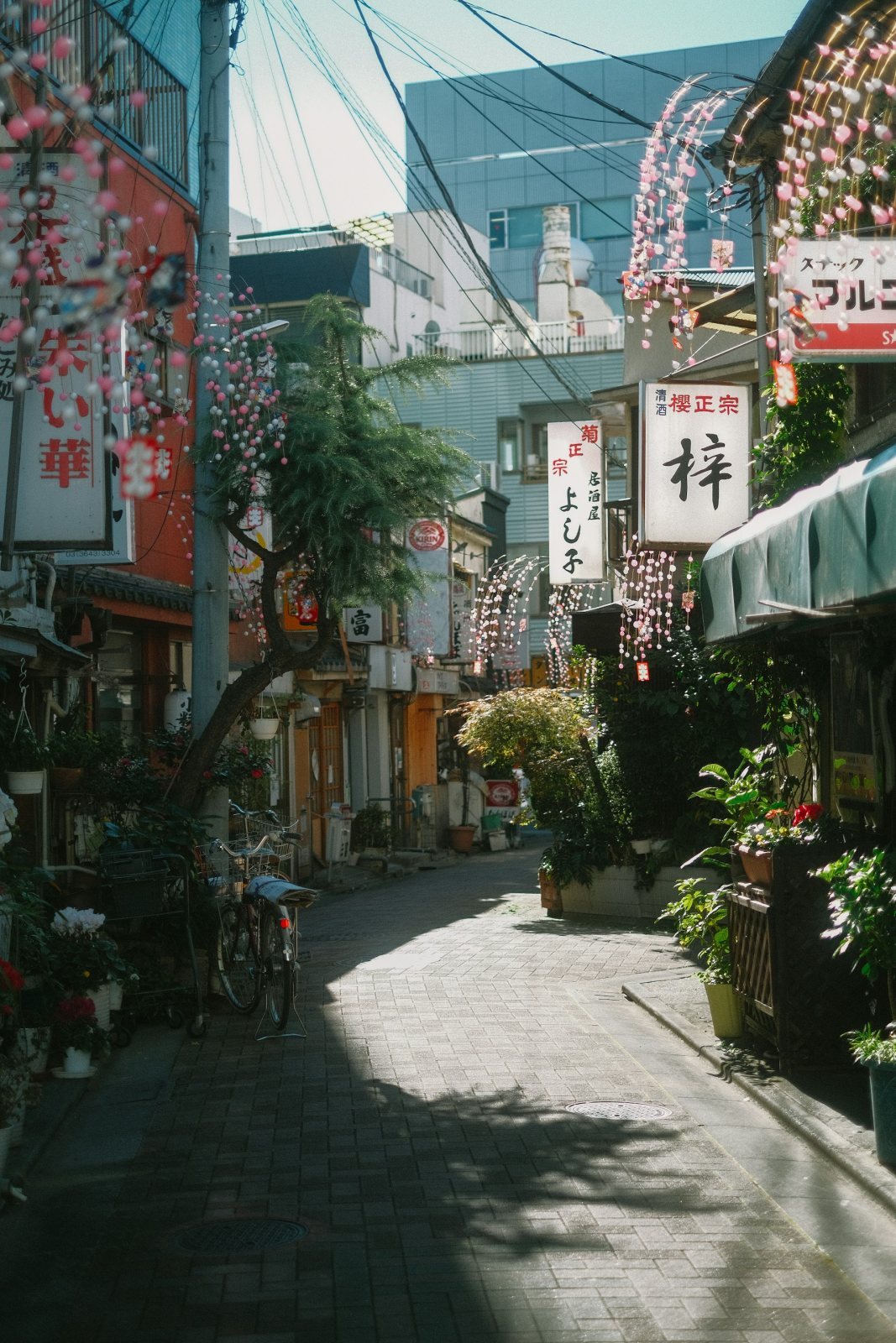 Fuji Dağı