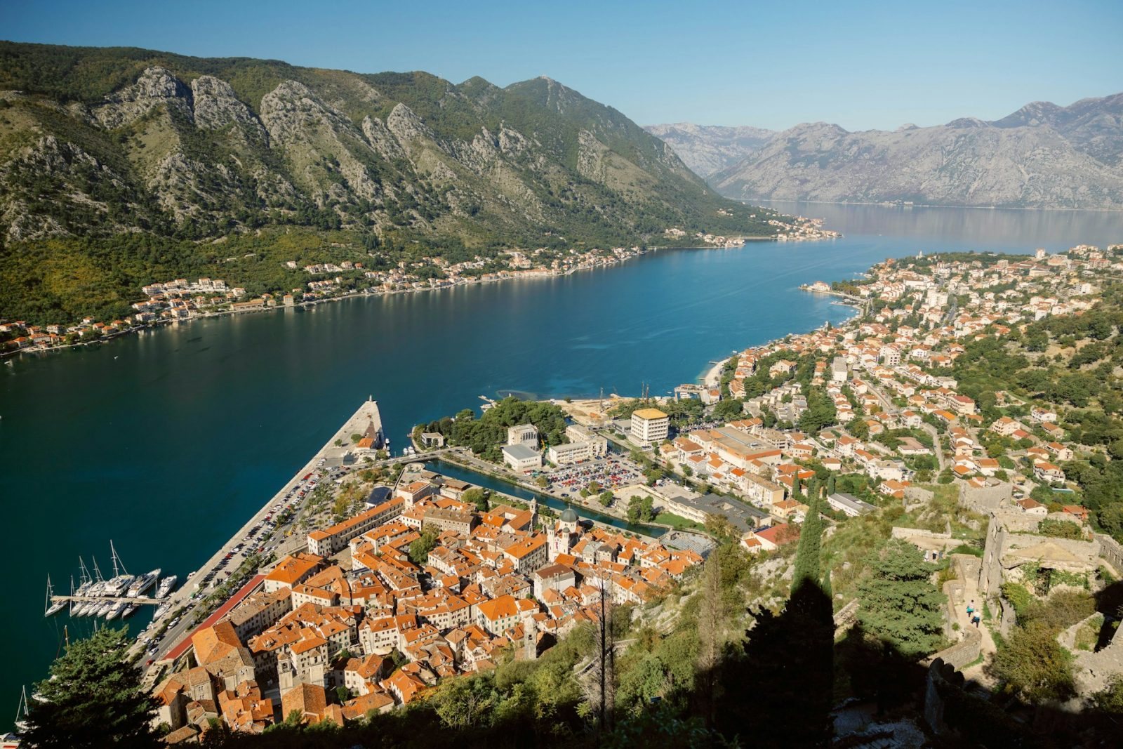 Kotor
