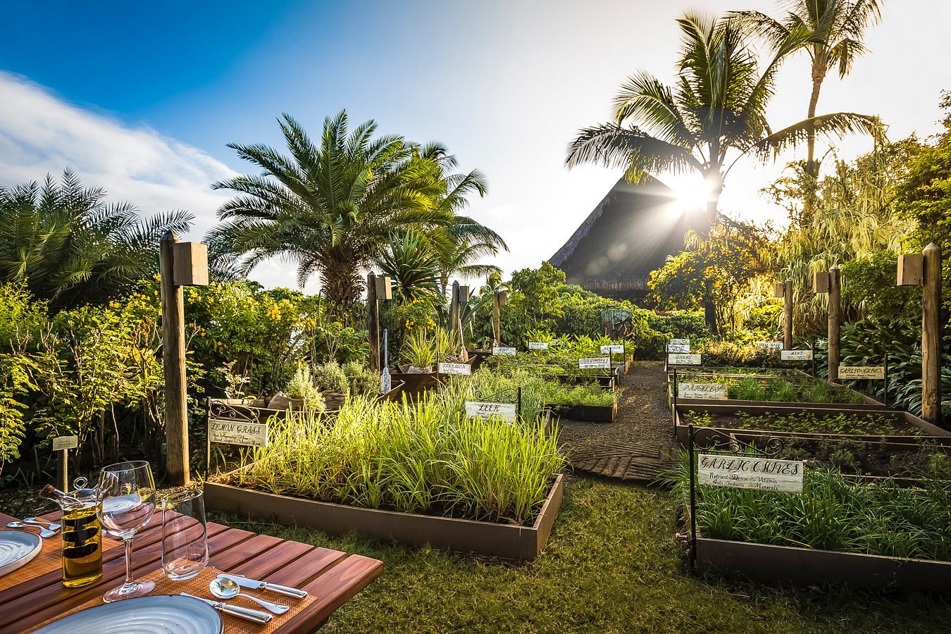 The Oberoi Beach Resort, Mauritius Balayı Turu - fotoğraf 22