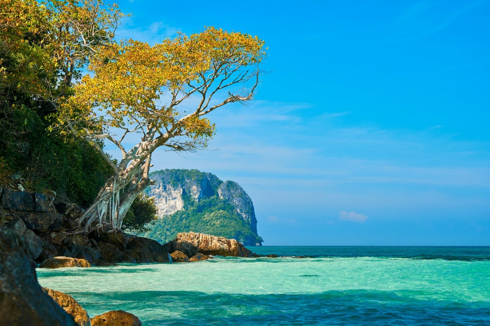 Phang Nga Körfezi