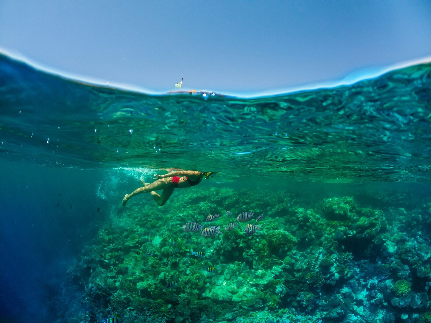 Rixos Premium Seagate Balayı Turu - fotoğraf 5