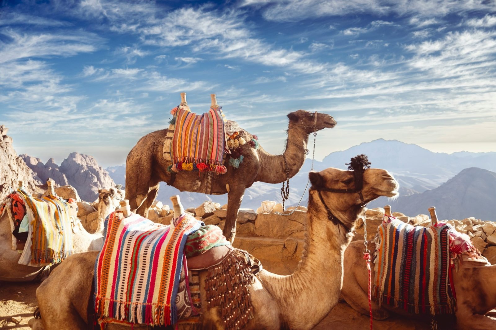 Sharm El Sheikh