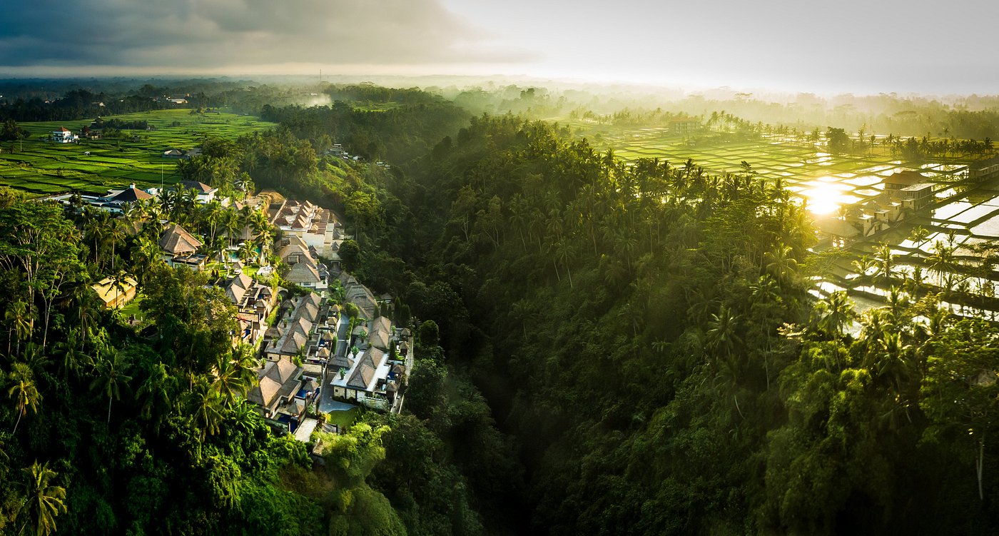 Viceroy Bali Balayı Turu - fotoğraf 6