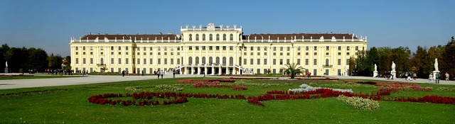 Viyana