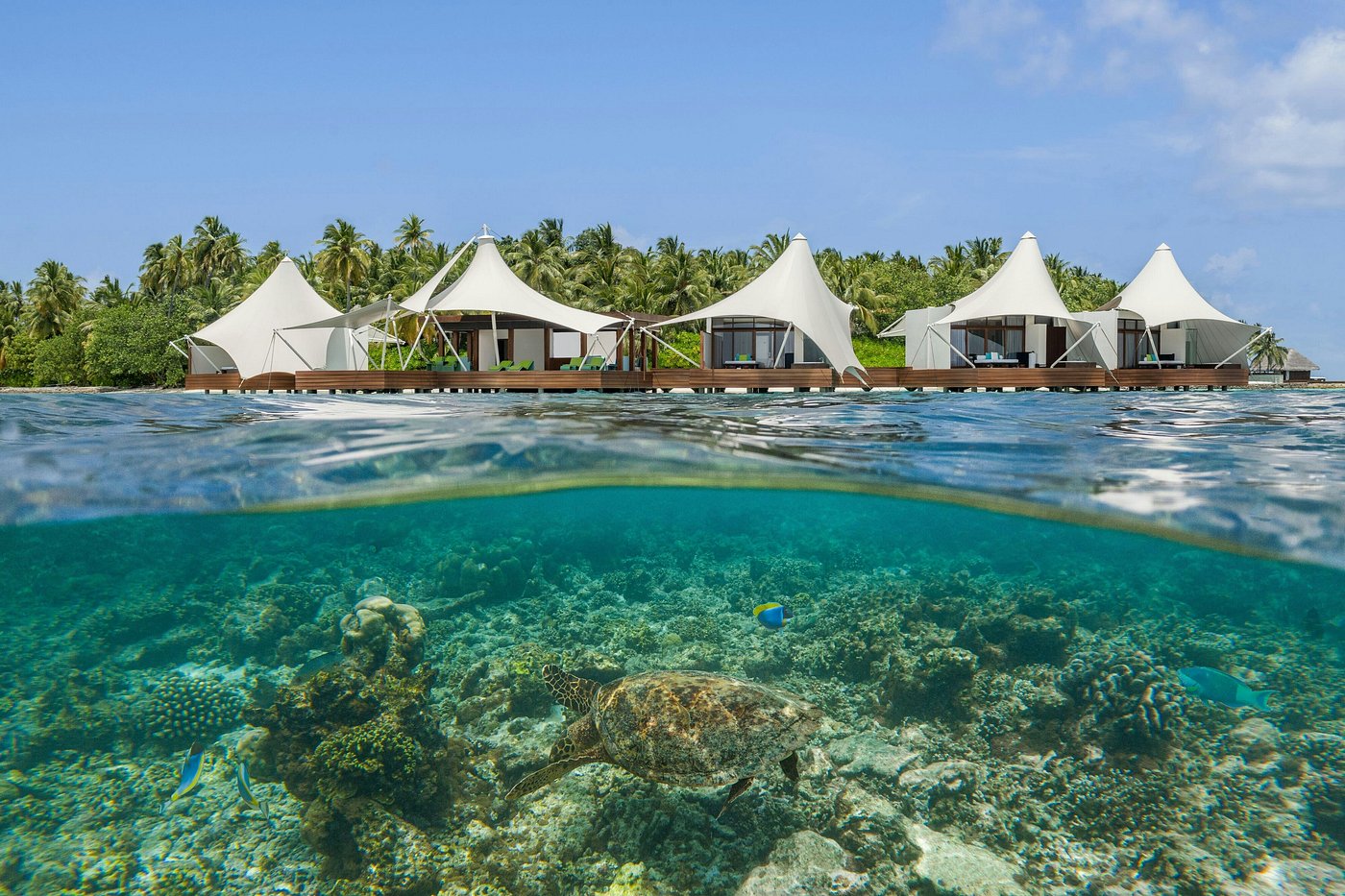 W Maldives
