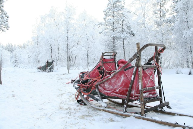 Lapland'ın Büyüsü & Kuzey Işıkları Turu Thy ile Sömestre 2027 Özel Santa Claus Express, Buzkıran Gemisi ve Kutup Safarileri Dahil 4 Gece 5 Gün - fotoğraf 11