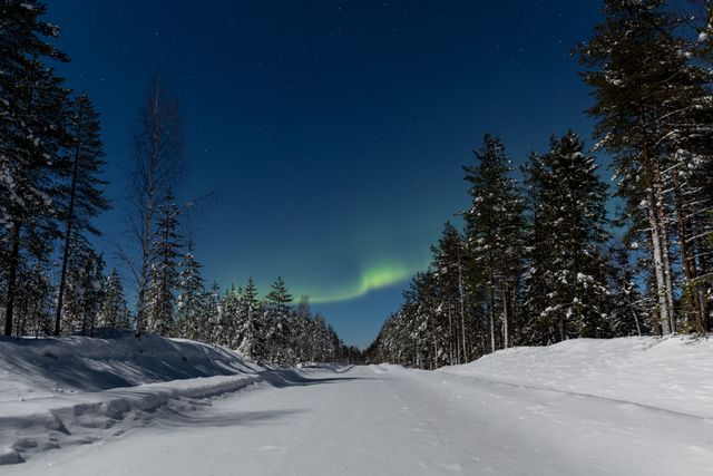 Lapland'ın Büyüsü & Kuzey Işıkları Turu Thy ile Sömestre 2027 Özel Santa Claus Express, Buzkıran Gemisi ve Kutup Safarileri Dahil 4 Gece 5 Gün - fotoğraf 2