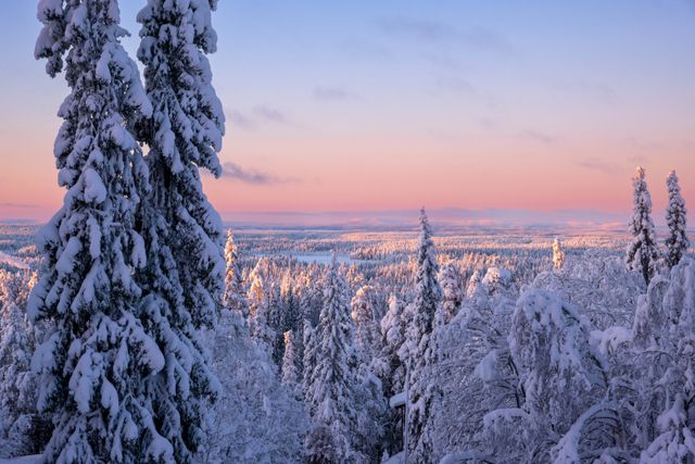 Lapland'ın Büyüsü & Kuzey Işıkları Turu Thy ile Sömestre 2027 Özel Santa Claus Express, Buzkıran Gemisi ve Kutup Safarileri Dahil 4 Gece 5 Gün - fotoğraf 3