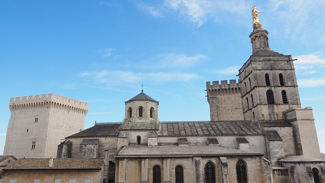 Avignon Katedrali