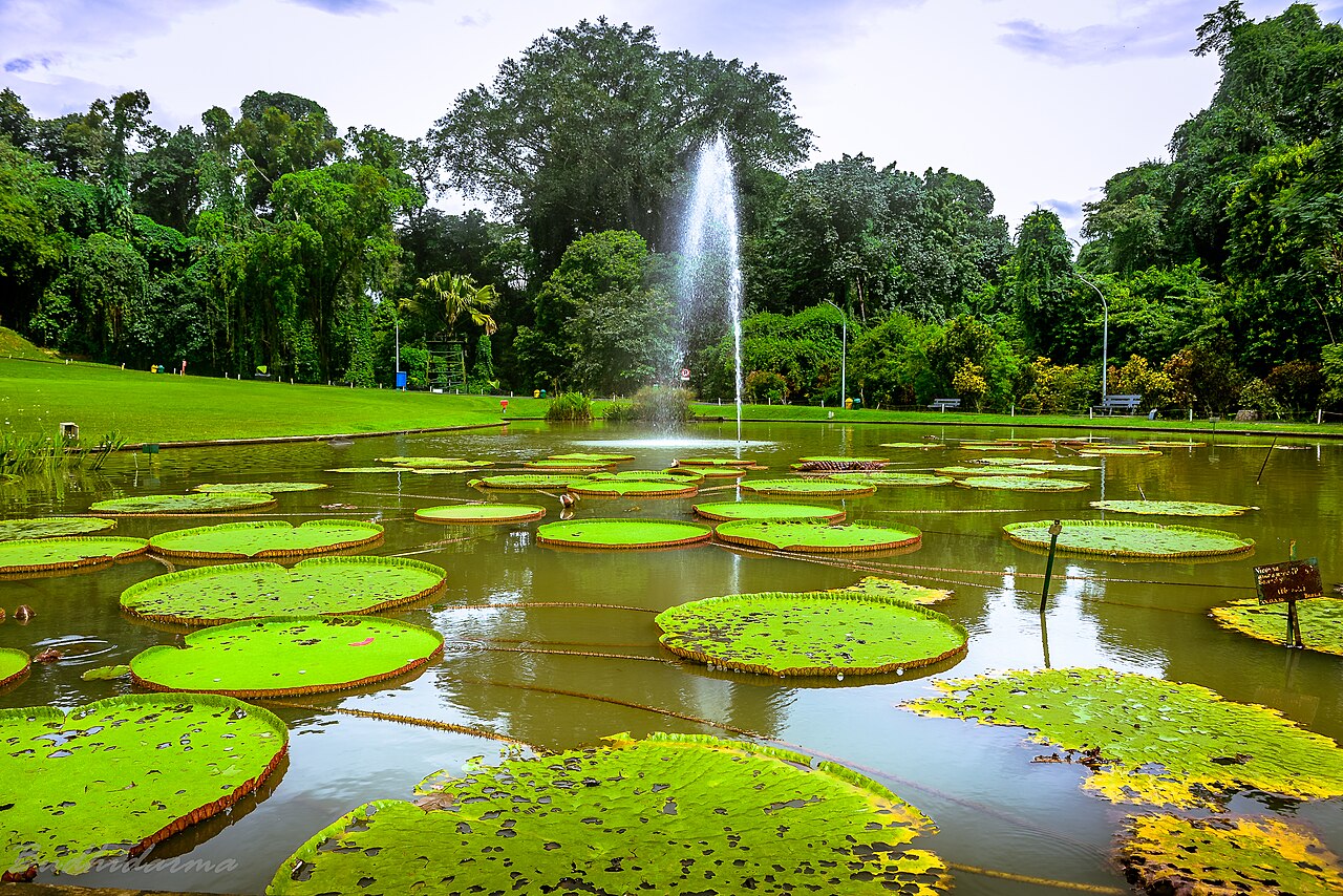 Bogor Botanik Bahçesi