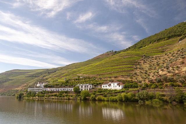 Douro Nehri