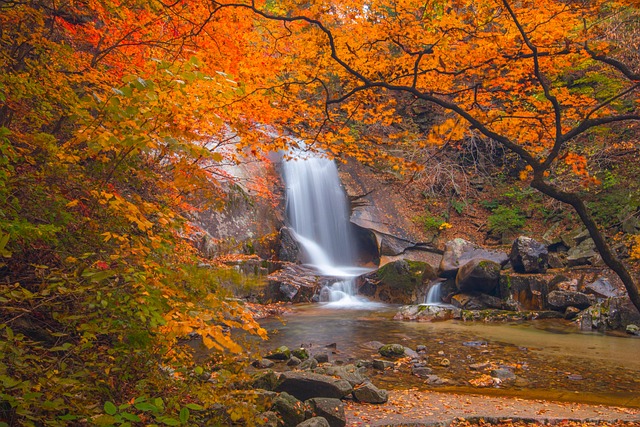Falls Şelalesi