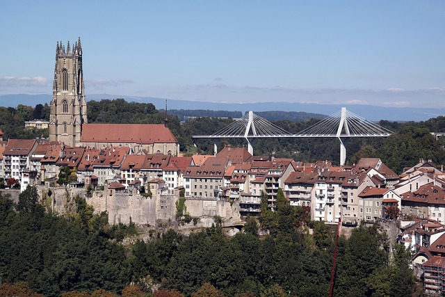 Freiburg Katedrali