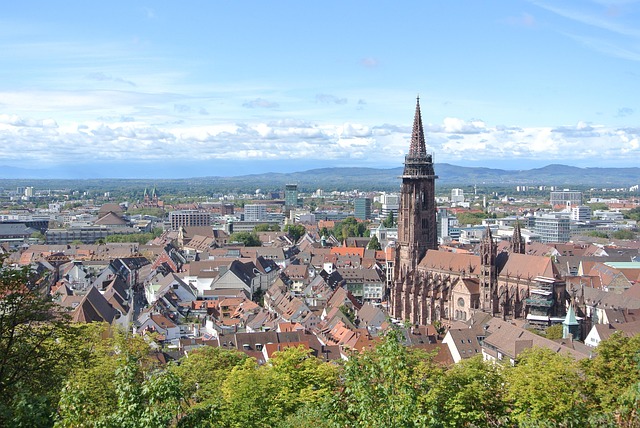 Freiburg Katedrali