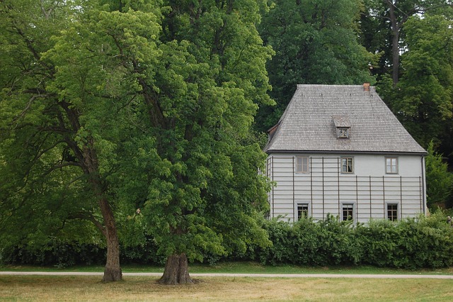 Goethe Evi