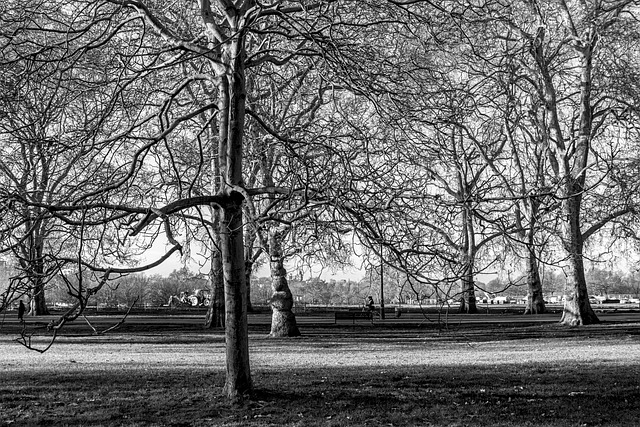 Hyde Park