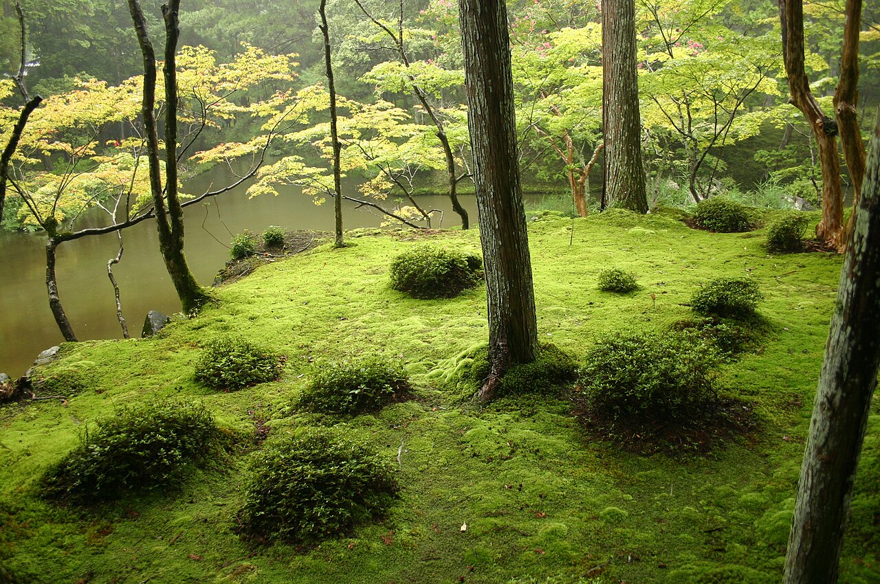 Japon Bahçesi
