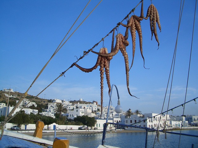 Mykonos Limanı