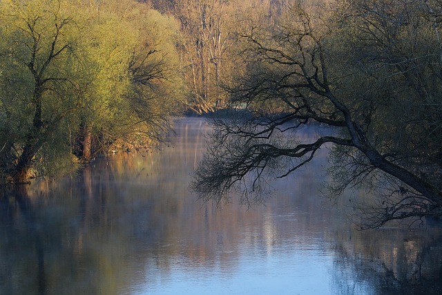 Neckar Nehri