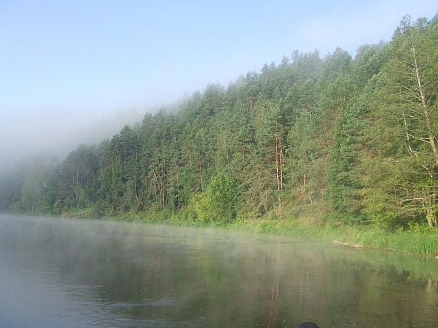 Neris Nehri