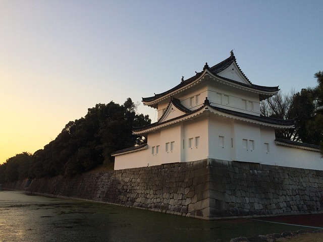 Nijo Kalesi