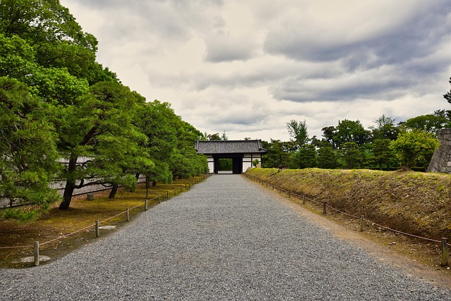 Nijo Kalesi