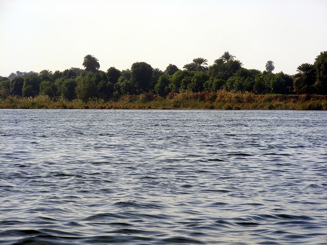 Nil Nehri