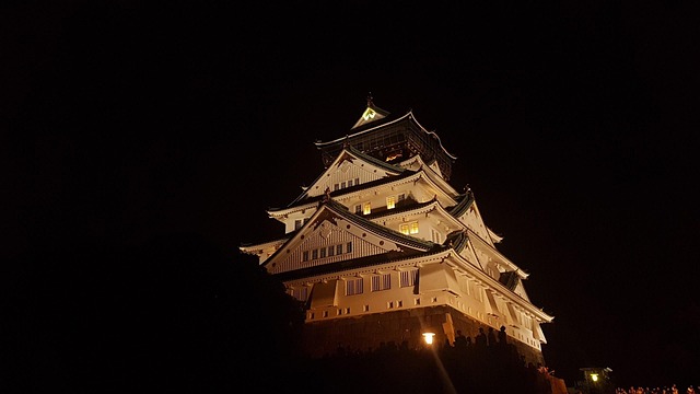 Osaka Kalesi