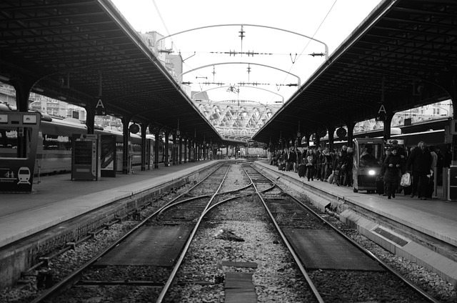 Paris Garı