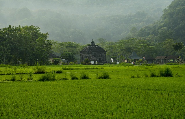 Prambanan Tapınağı
