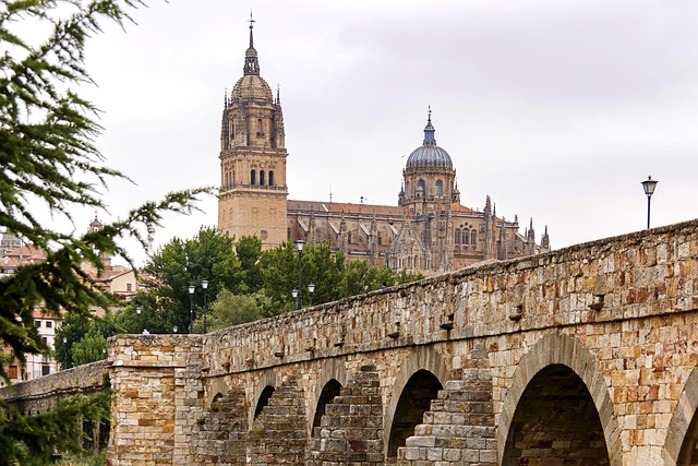 Salamanca Katedrali