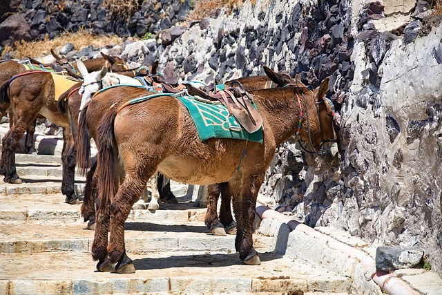 Santorini Limanı