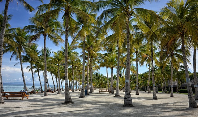 Bohol