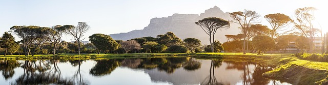 Cape Town