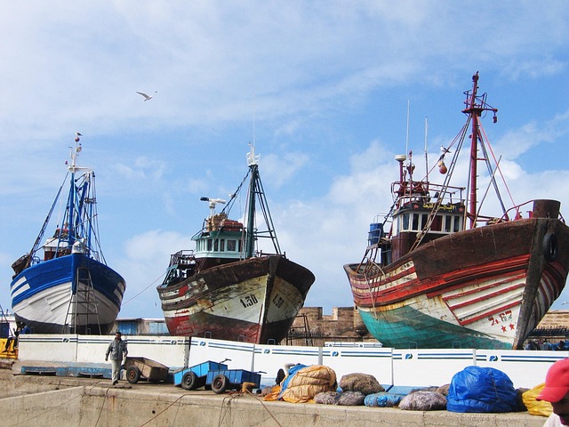 Essaouıra
