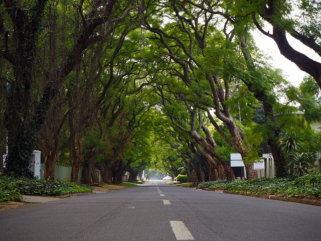 Johannesburg