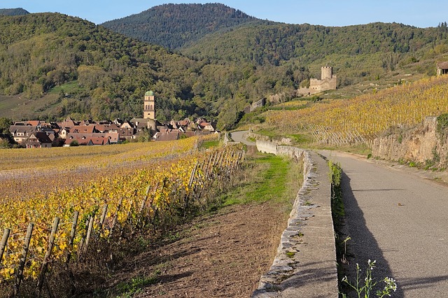 Kaysersberg