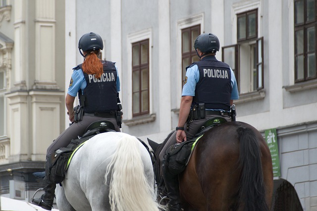 Ljubljana