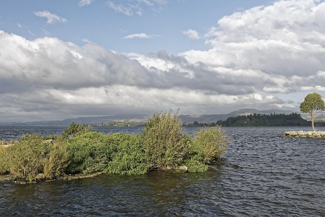 Rotorua
