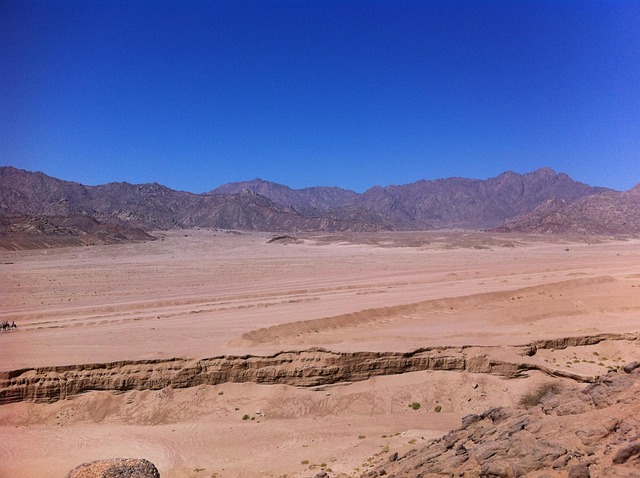 Sharm