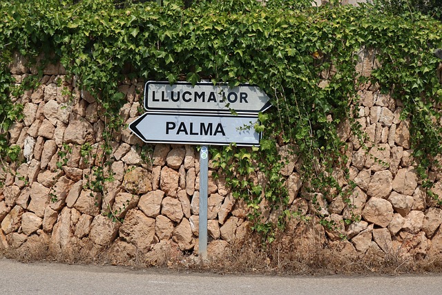 Tanca